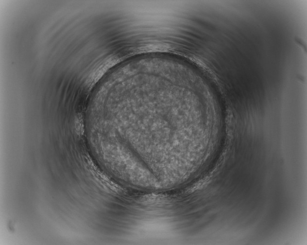 X0000100500929200806271256