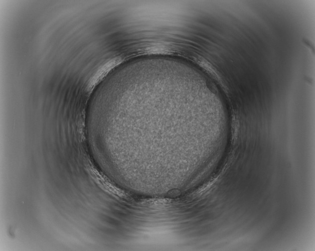 X0000100500930200806271256