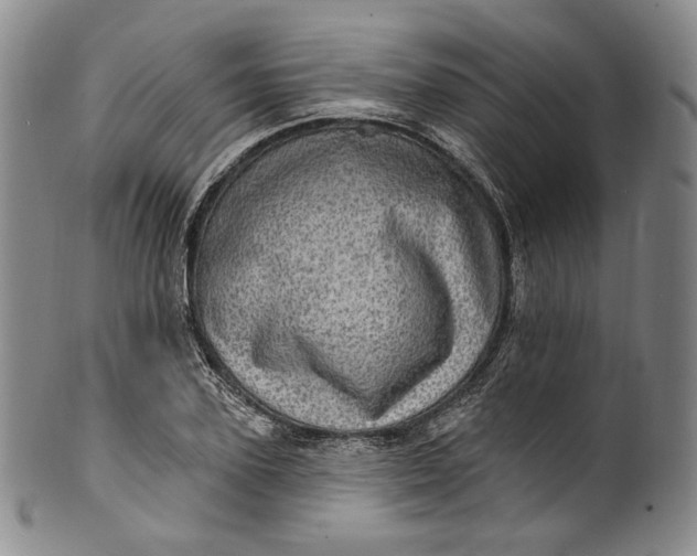 X0000100500931200806271256