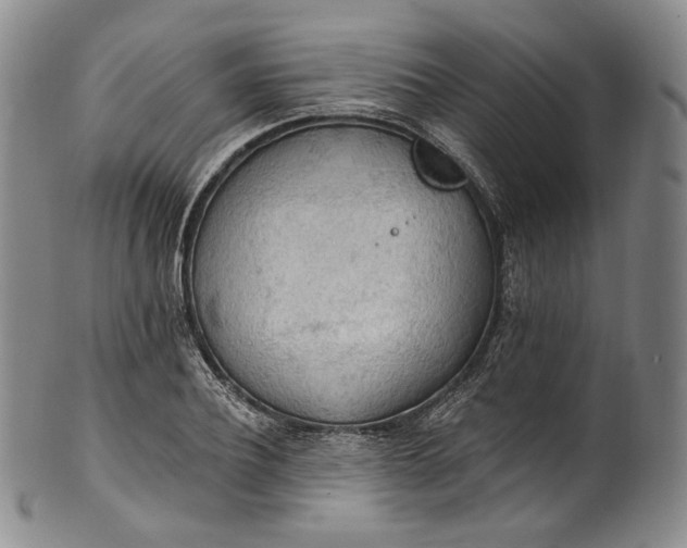 X0000100500932200806271256