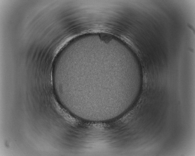 X0000100500934200806271256