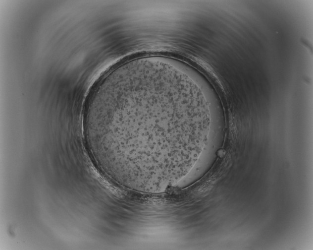 X0000100500935200806271256