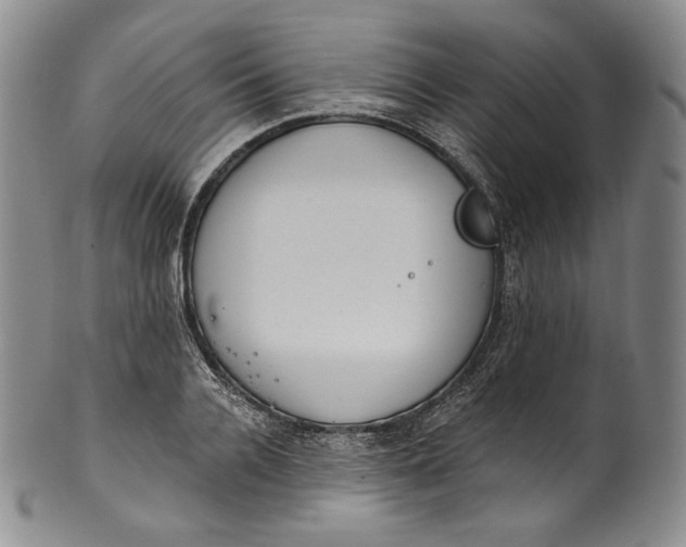 X0000100500936200806271256