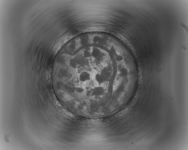 X0000100500937200806271256