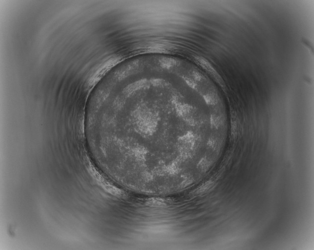 X0000100500938200806271256