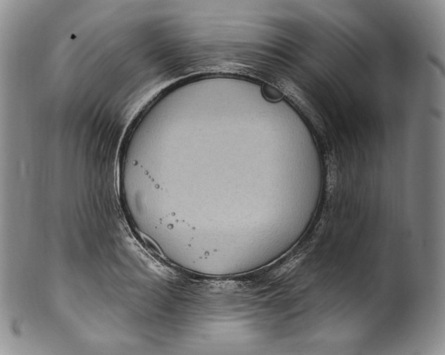 X0000100500940200806271256