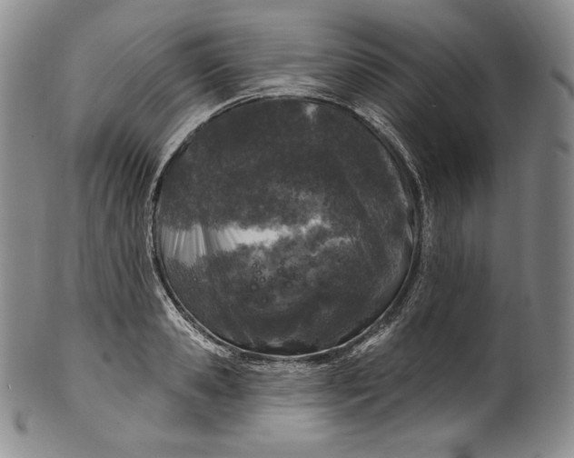 X0000100500941200806271256