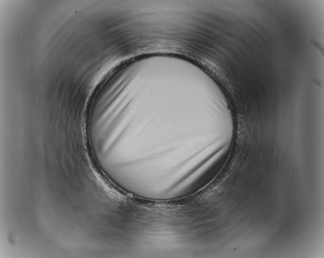 X0000100500942200806271256