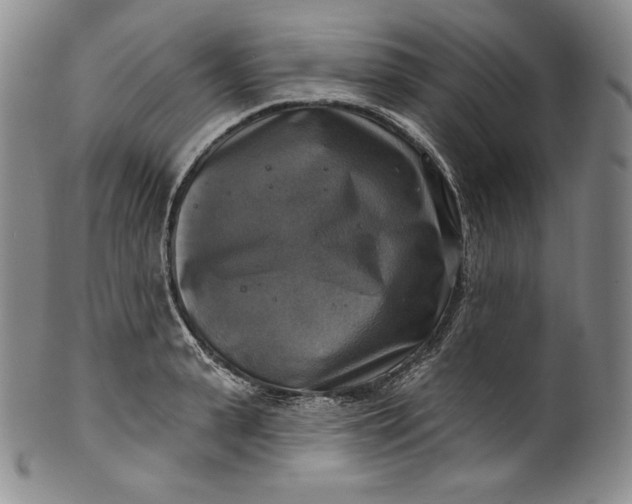 X0000100500943200806271256