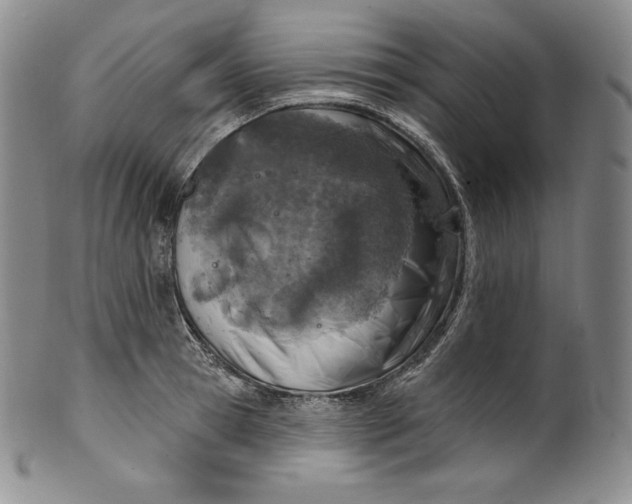 X0000100500945200806271256