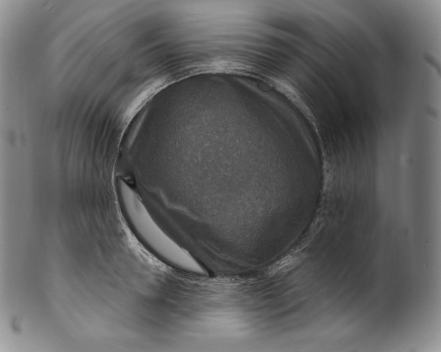 X0000100500946200806271256