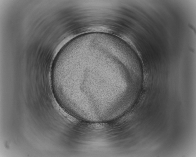 X0000100500947200806271256