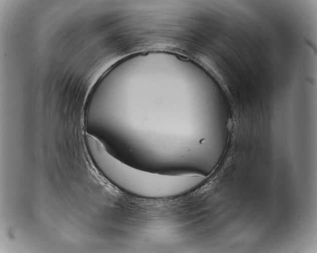 X0000100500948200806271256