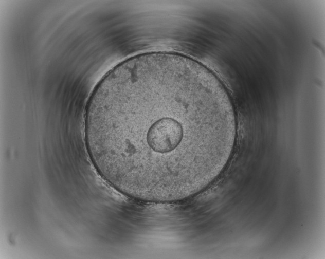 X0000100500950200806271256