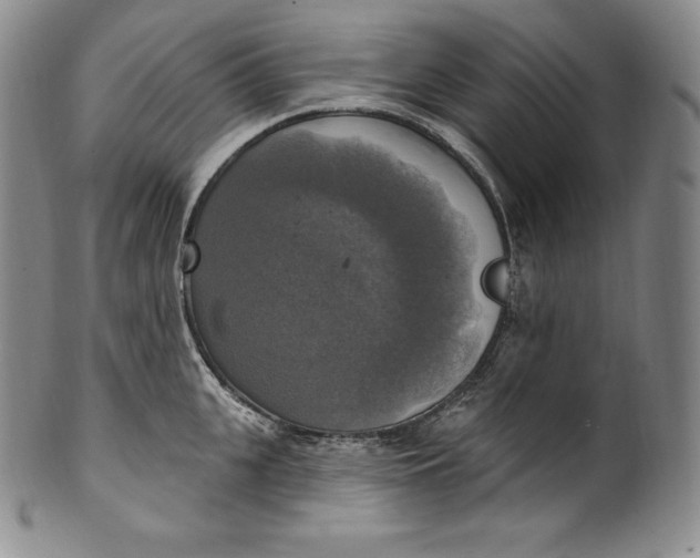 X0000100500951200806271256