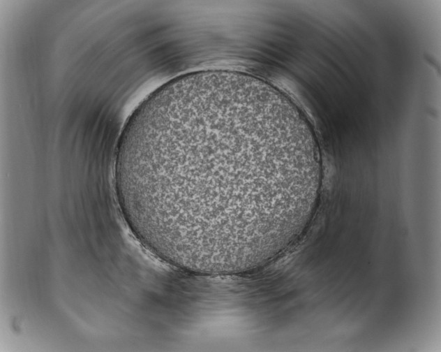 X0000100500952200806271256