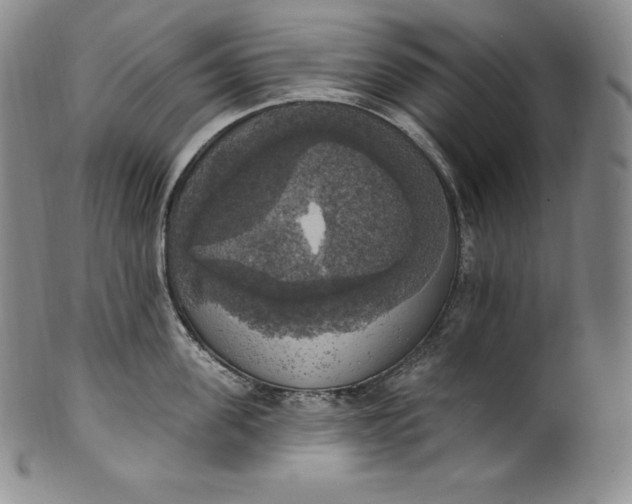 X0000100500955200806271256