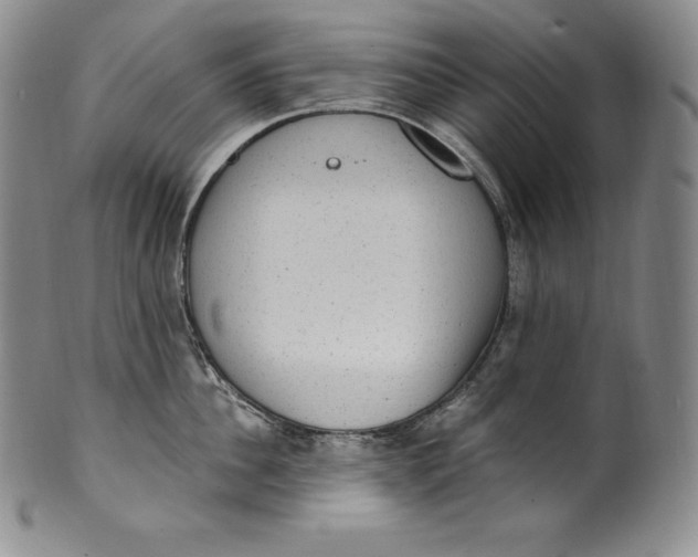 X0000100500956200806271256