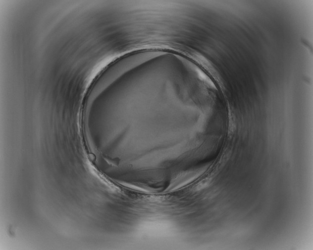 X0000100500958200806271256