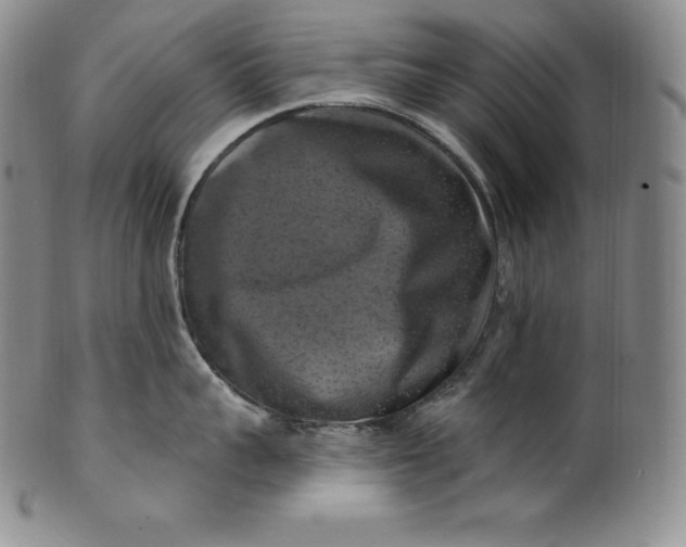 X0000100500959200806271256