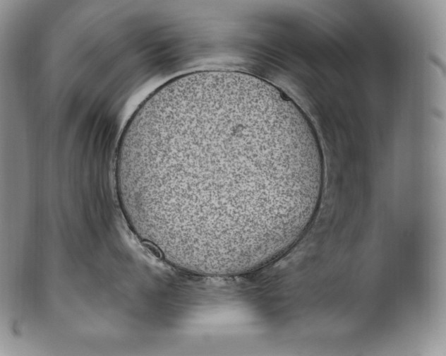 X0000100500960200806271256