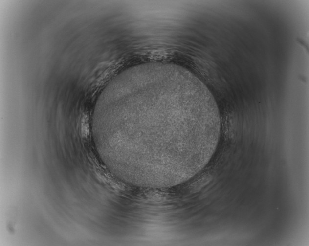 X0000100500962200806271255