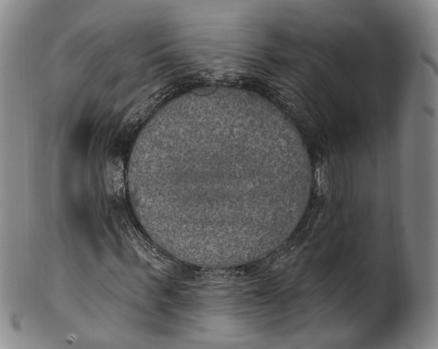 X0000100500963200806271255