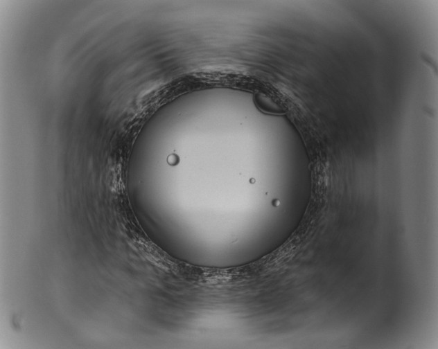 X0000100500965200806271255