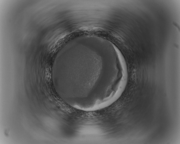 X0000100500966200806271255