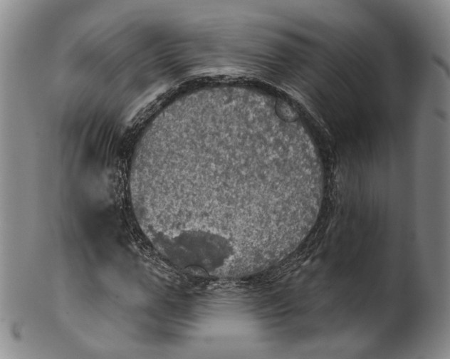 X0000100500967200806271255