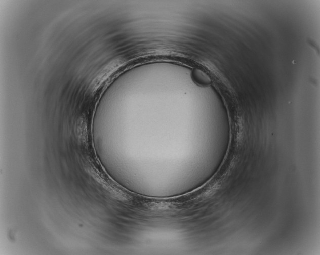 X0000100500969200806271255