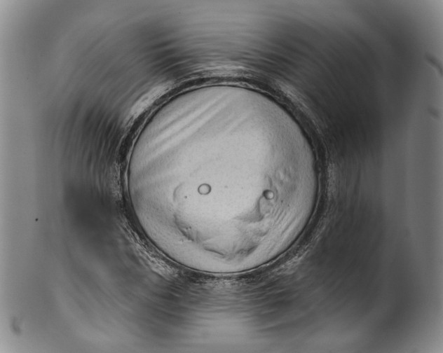 X0000100500970200806271255