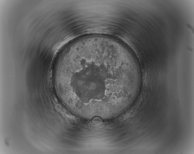 X0000100500971200806271255