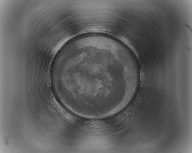 X0000100500972200806271255