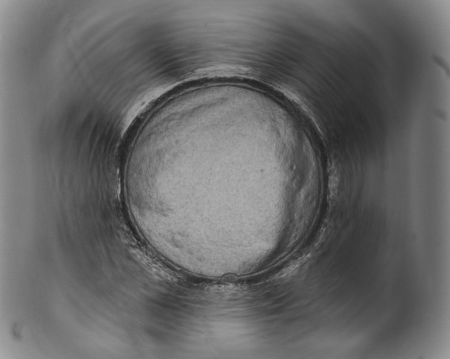 X0000100500973200806271255