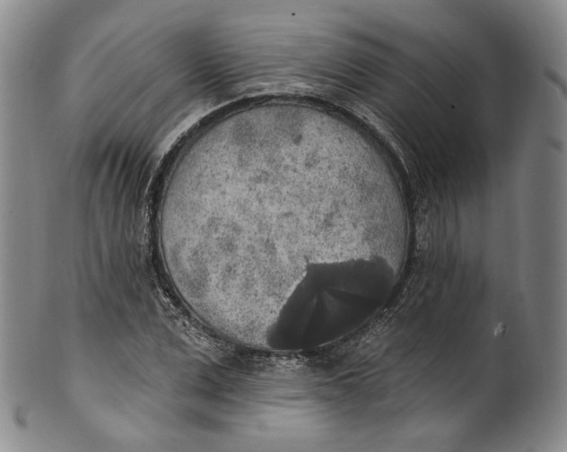 X0000100500975200806271255