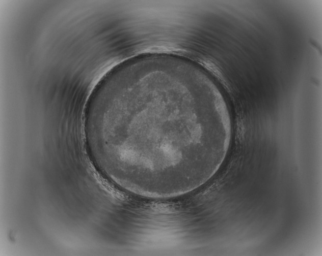 X0000100500976200806271255