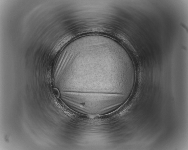 X0000100500977200806271255