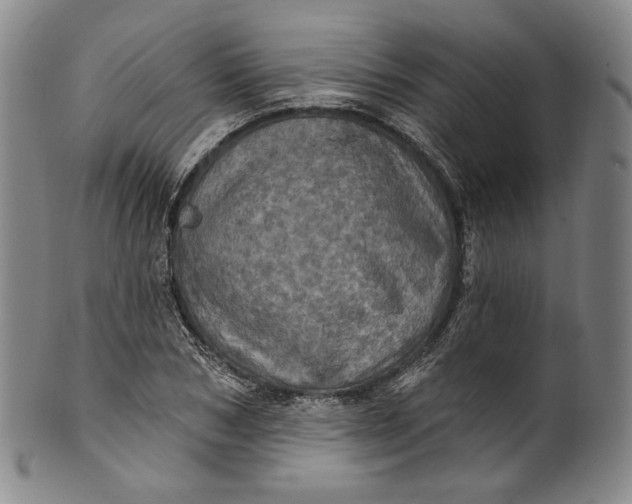 X0000100500978200806271255