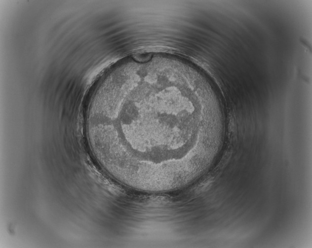 X0000100500979200806271255