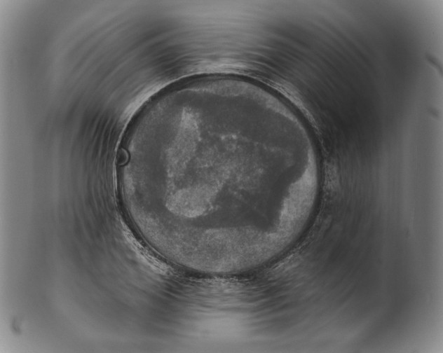 X0000100500980200806271255