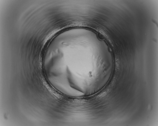 X0000100500981200806271255