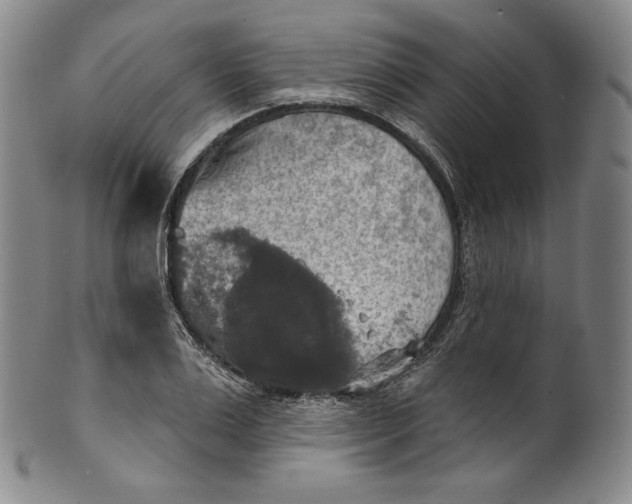 X0000100500983200806271255