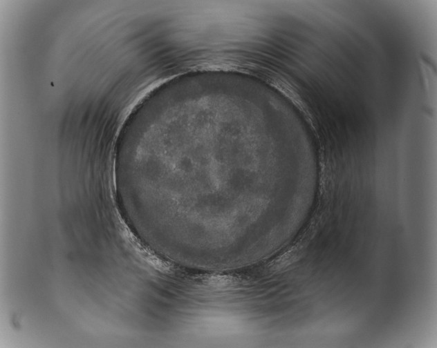 X0000100500984200806271255