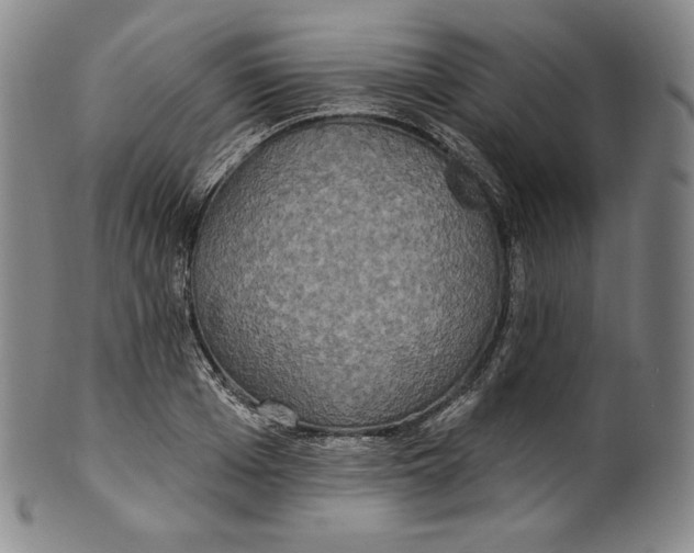 X0000100500985200806271255