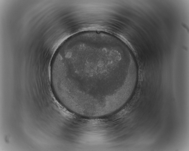 X0000100500988200806271255