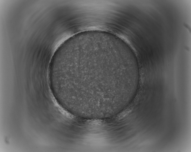 X0000100500991200806271255