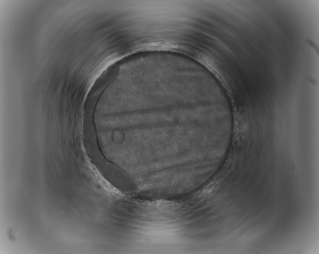 X0000100500992200806271255