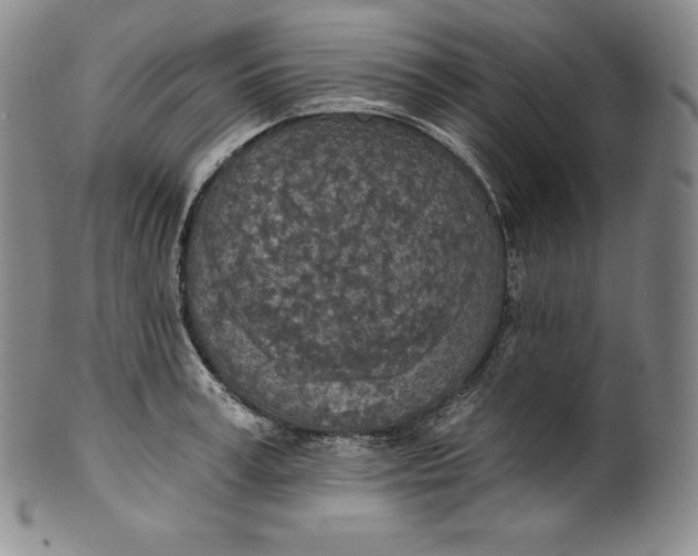 X0000100500995200806271255