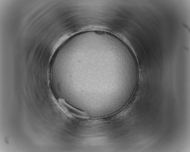 X0000100500997200806271255